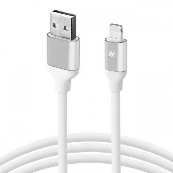 10FT USB to 8-pin Lightning Data Sync & Quick Charging Cable for iPhone X 8 7 6 SILVER